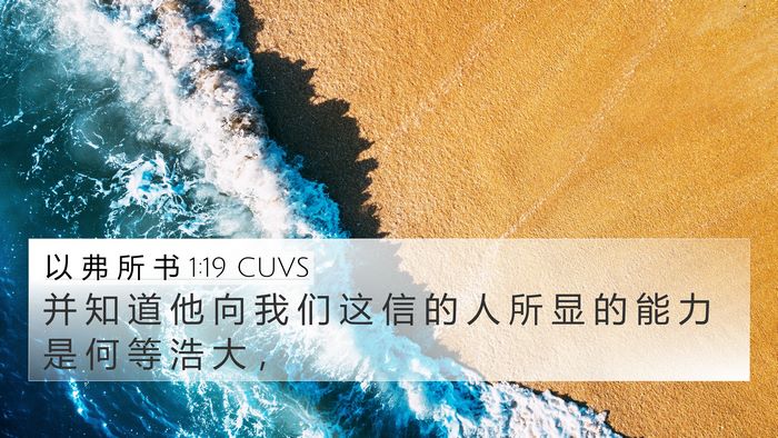 以 弗 所 书 1:19 CUVS Bible Verse Image