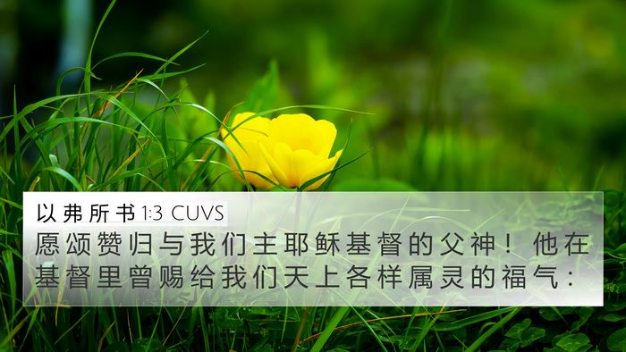 以 弗 所 书 1:3 CUVS Bible Verse Image