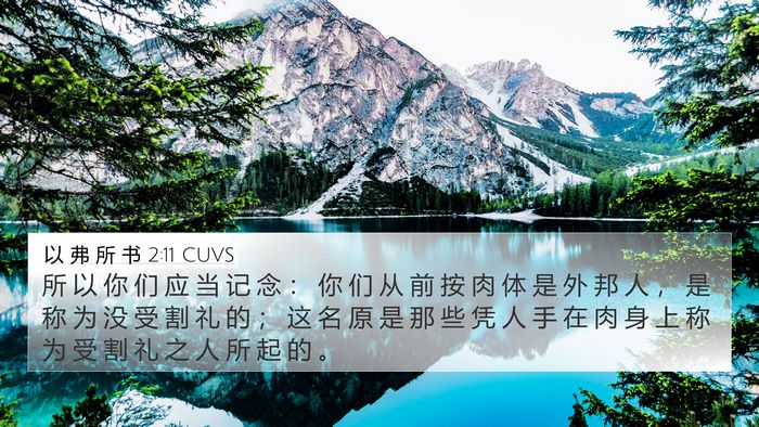以 弗 所 书 2:11 CUVS Bible Verse Image