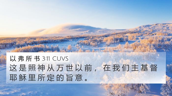 以 弗 所 书 3:11 CUVS Bible Verse Image