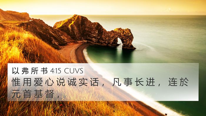 以 弗 所 书 4:15 CUVS Bible Verse Image