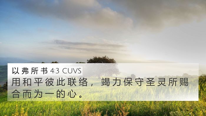 以 弗 所 书 4:3 CUVS Bible Verse Image