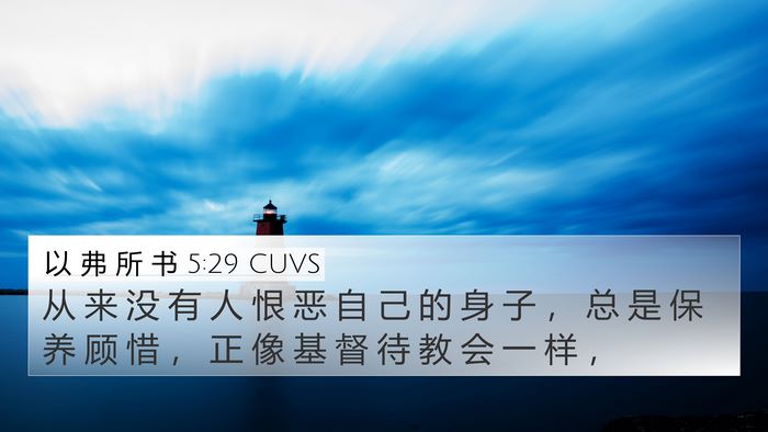 以 弗 所 书 5:29 CUVS Bible Verse Image