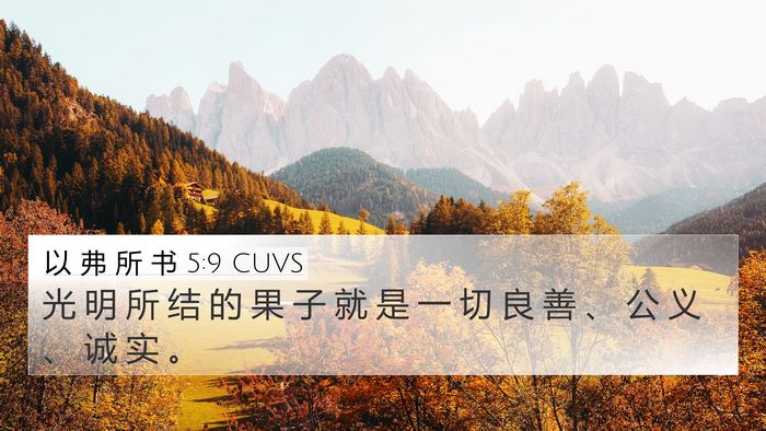 以 弗 所 书 5:9 CUVS Bible Verse Image