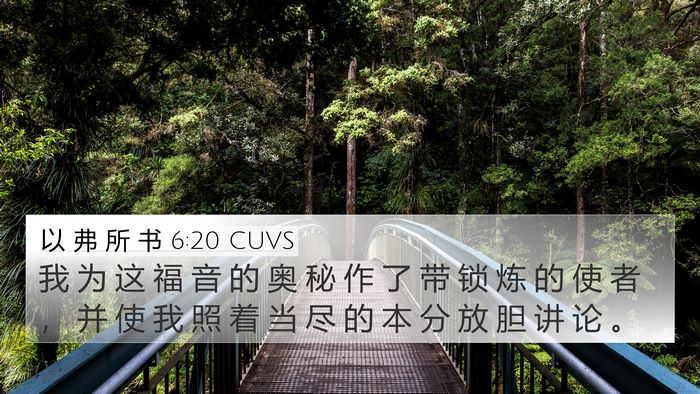 以 弗 所 书 6:20 CUVS Bible Verse Image