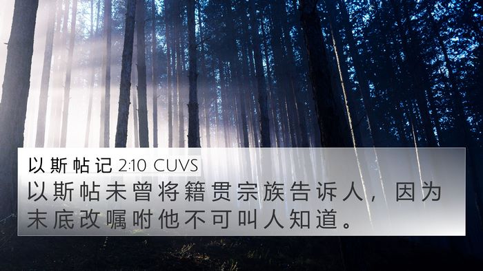 以 斯 帖 记 2:10 CUVS Bible Verse Image