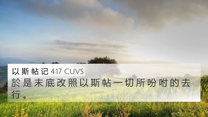 以 斯 帖 记 4:17 CUVS 4K Wallpaper - 於 是 末 底 改 照 以 斯 帖 一 切 所 - 4K Wallpaper Bible Verse