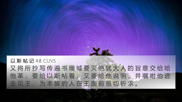 以 斯 帖 记 4:8 CUVS Bible Verse Image