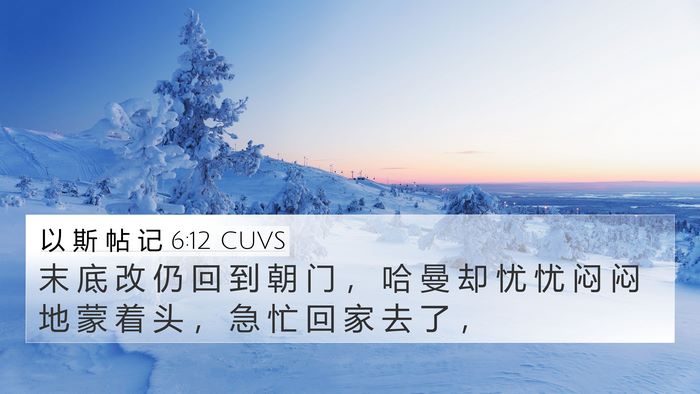 以 斯 帖 记 6:12 CUVS Bible Verse Image