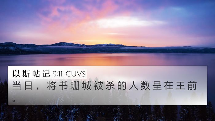 以 斯 帖 记 9:11 CUVS Bible Verse Image
