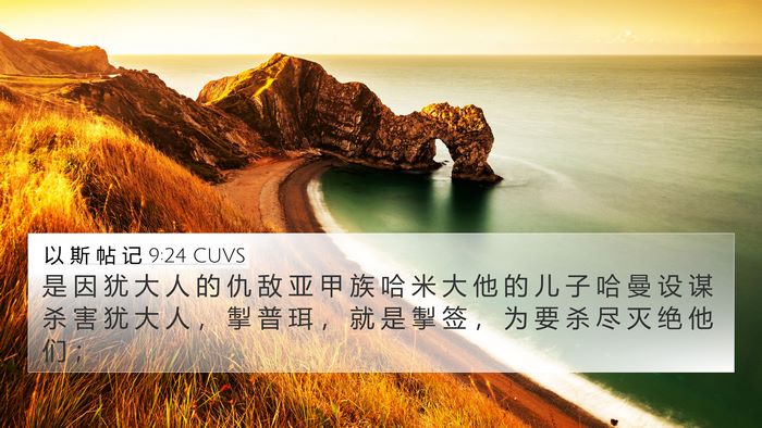 以 斯 帖 记 9:24 CUVS Bible Verse Image