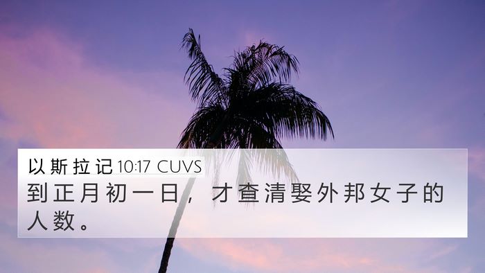 以 斯 拉 记 10:17 CUVS 4K Wallpaper - 到 正 月 初 一 日 ， 才 查 清 娶 外 - 4K Wallpaper Bible Verse