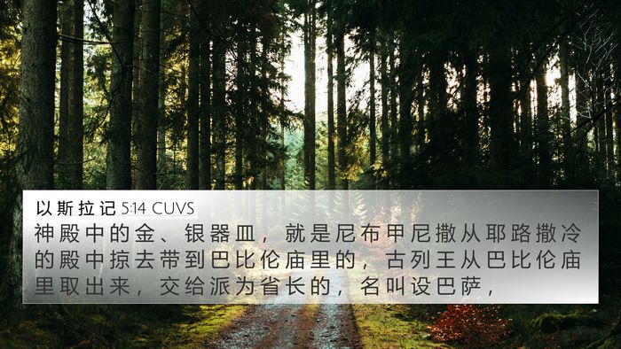 以 斯 拉 记 5:14 CUVS Bible Verse Image