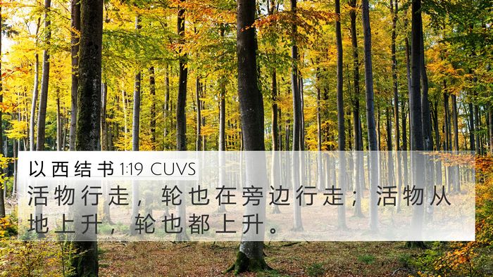 以 西 结 书 1:19 CUVS Bible Verse Image