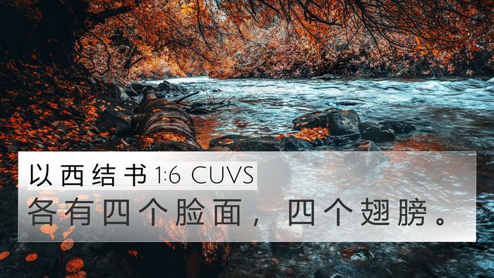 以 西 结 书 1:6 CUVS Bible Verse Image