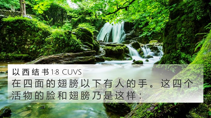 以 西 结 书 1:8 CUVS Bible Verse Image
