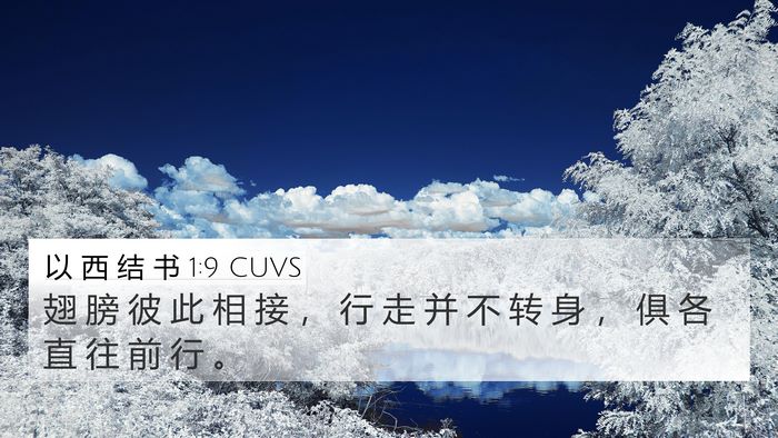 以 西 结 书 1:9 CUVS 4K Wallpaper - 翅 膀 彼 此 相 接 ， 行 走 并 不 转 - 4K Wallpaper Bible Verse