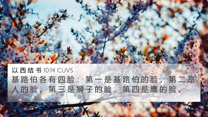 以 西 结 书 10:14 CUVS Bible Verse Image