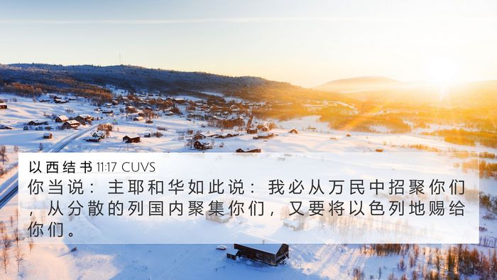 以 西 结 书 11:17 CUVS Bible Verse Image