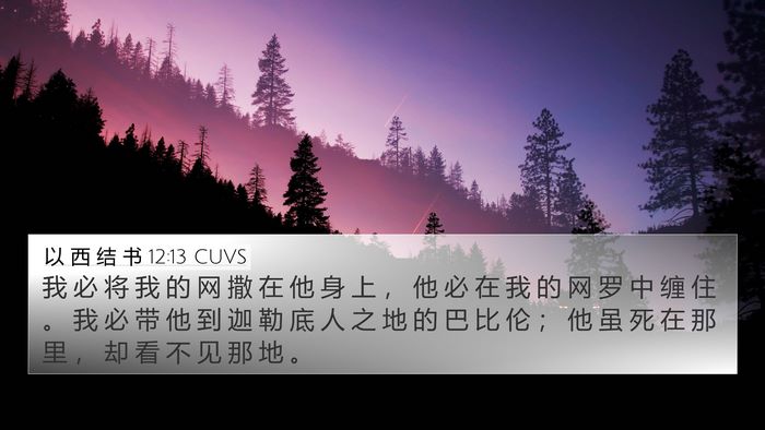以 西 结 书 12:13 CUVS Bible Verse Image