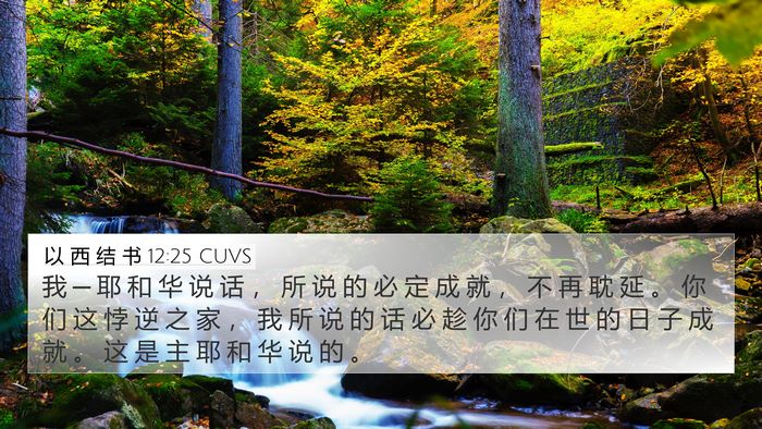以 西 结 书 12:25 CUVS Bible Verse Image