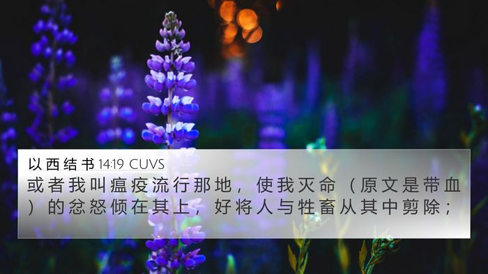 以 西 结 书 14:19 CUVS Bible Verse Image