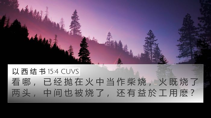 以 西 结 书 15:4 CUVS Bible Verse Image