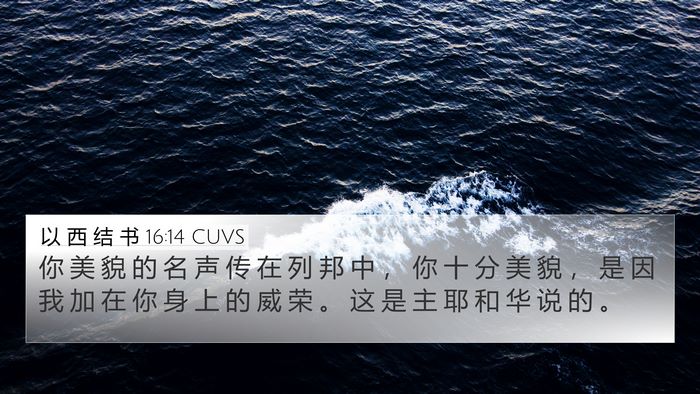 以 西 结 书 16:14 CUVS Bible Verse Image
