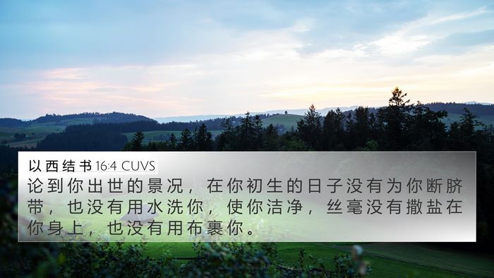 以 西 结 书 16:4 CUVS Bible Verse Image