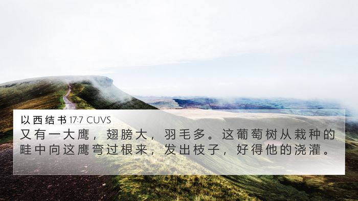 以 西 结 书 17:7 CUVS Bible Verse Image