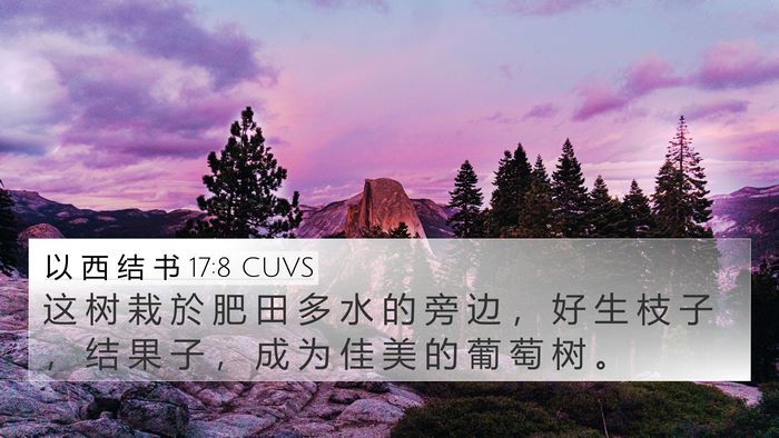 以 西 结 书 17:8 CUVS Bible Verse Image