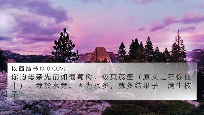 以 西 结 书 19:10 CUVS Bible Verse Image