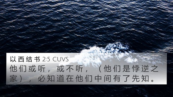 以 西 结 书 2:5 CUVS Bible Verse Image