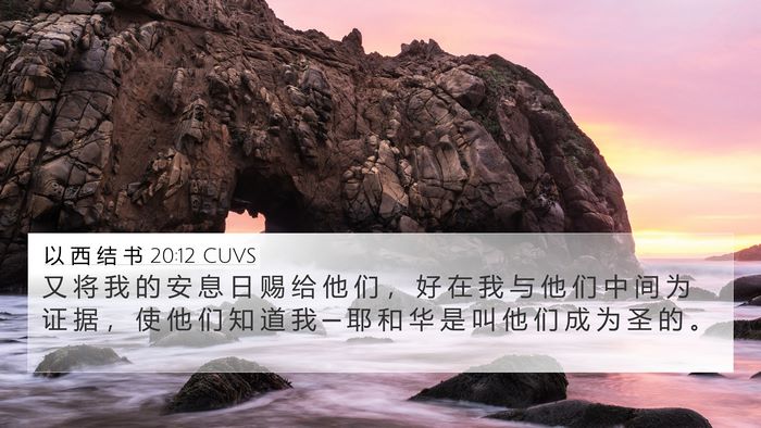 以 西 结 书 20:12 CUVS Bible Verse Image