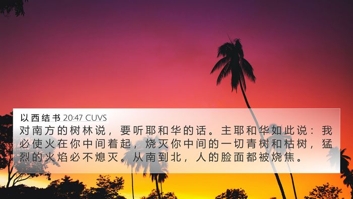 以 西 结 书 20:47 CUVS Bible Verse Image