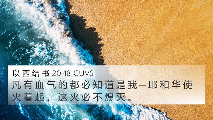 以 西 结 书 20:48 CUVS Bible Verse Image
