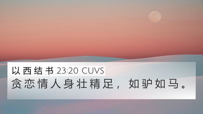 以 西 结 书 23:20 CUVS Bible Verse Image