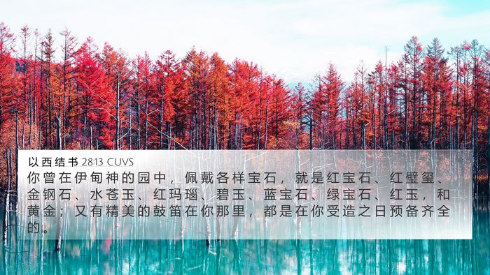 以 西 结 书 28:13 CUVS Bible Verse Image