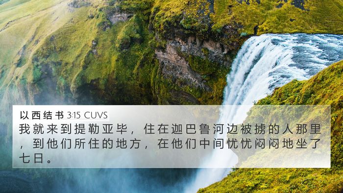 以 西 结 书 3:15 CUVS Bible Verse Image
