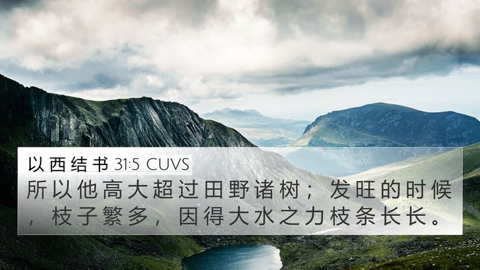 以 西 结 书 31:5 CUVS 4K Wallpaper - 所 以 他 高 大 超 过 田 野 诸 树 ； - 4K Wallpaper Bible Verse