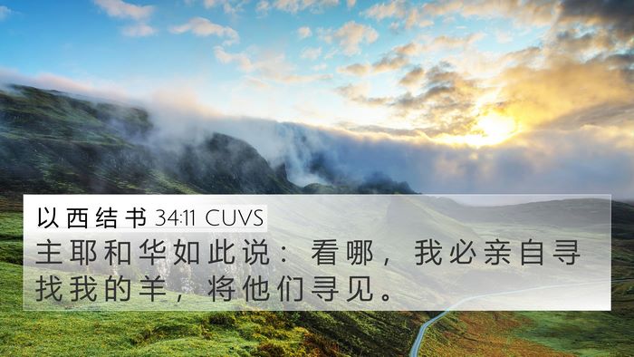以 西 结 书 34:11 CUVS Bible Verse Image
