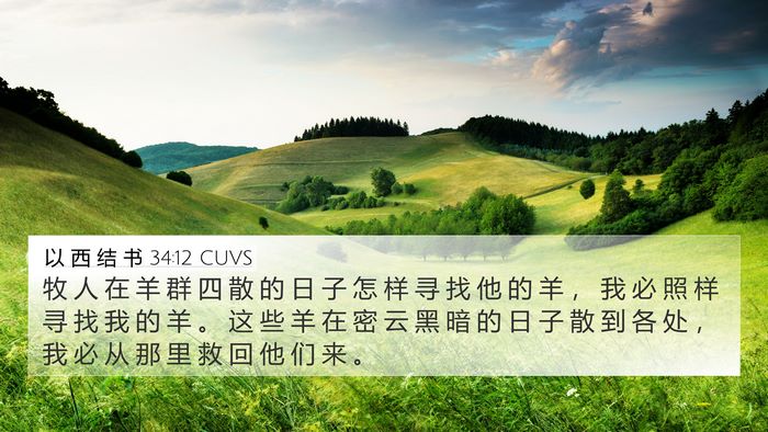 以 西 结 书 34:12 CUVS Bible Verse Image