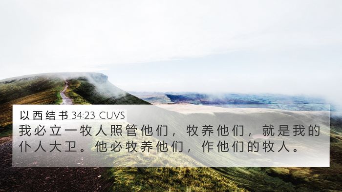 以 西 结 书 34:23 CUVS Bible Verse Image