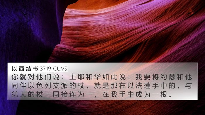 以 西 结 书 37:19 CUVS Bible Verse Image