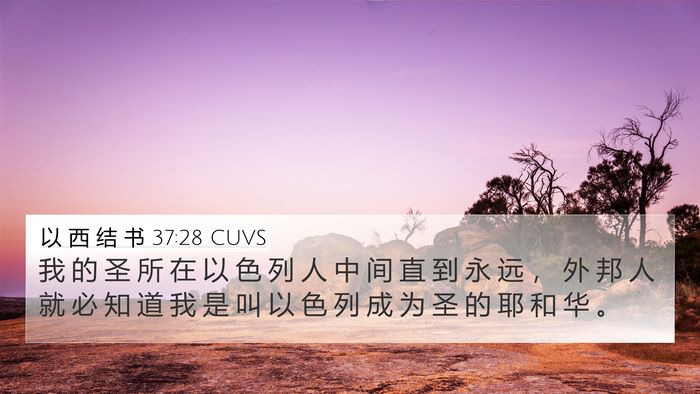 以 西 结 书 37:28 CUVS Bible Verse Image