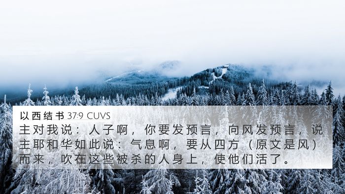 以 西 结 书 37:9 CUVS Bible Verse Image