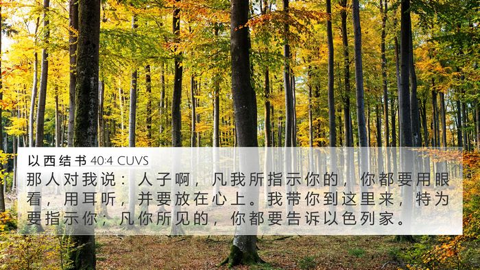 以 西 结 书 40:4 CUVS Bible Verse Image