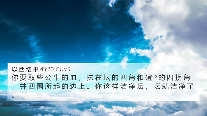 以 西 结 书 43:20 CUVS Bible Verse Image
