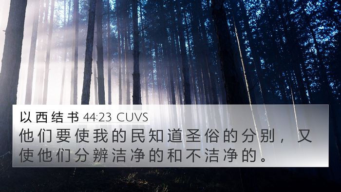 以 西 结 书 44:23 CUVS Bible Verse Image
