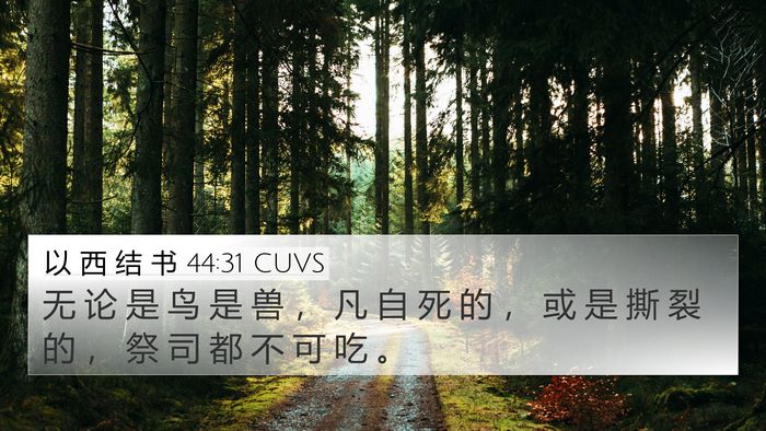 以 西 结 书 44:31 CUVS Bible Verse Image